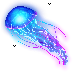 jellyfish.png